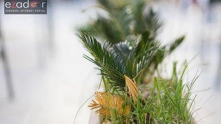 Subotnja špica 28. listopada 2017. Subotnja špica 28. listopada 2017.