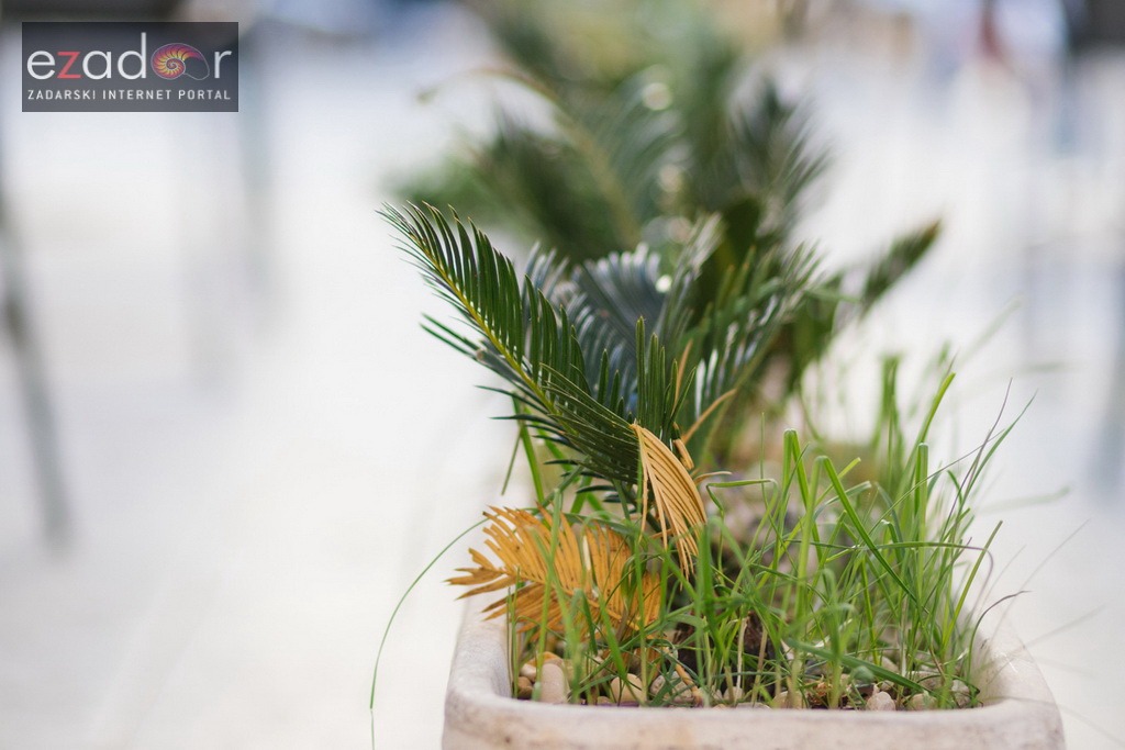 Subotnja špica 28. listopada 2017. Subotnja špica 28. listopada 2017.