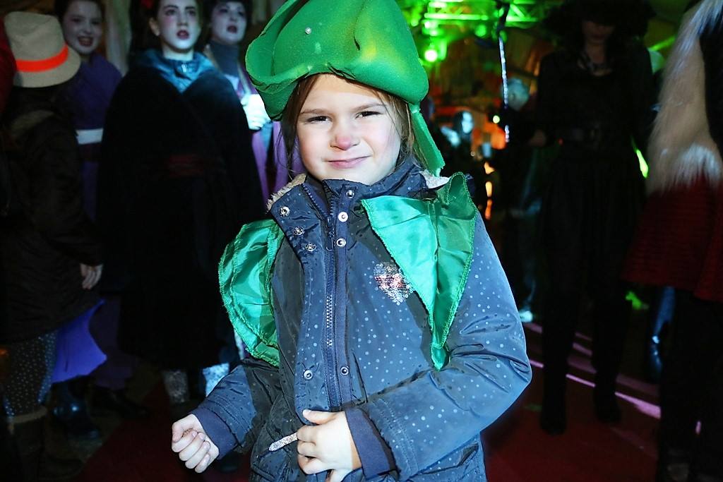 Virske maškare 2017: Vir Fešn Najt i izbor najboljih maski