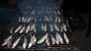 Humanitarni turnir u basketu “Pomaganje je uvijek IN”