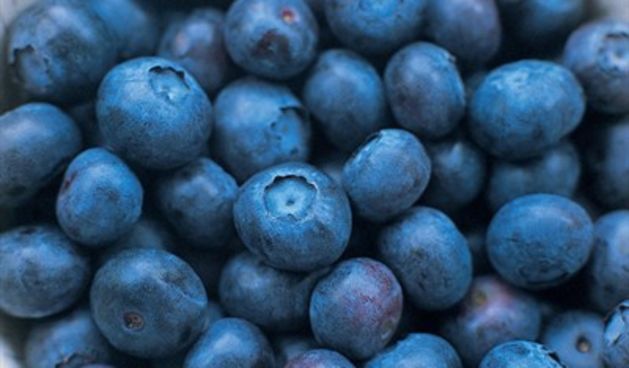 Borovnice pomažu u borbi s trbuščićem (Tportal.hr)