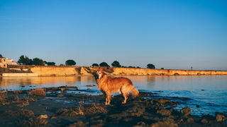 Večernji đir po Sabunikama i Kolovarama. Foto: Iva Perinčić