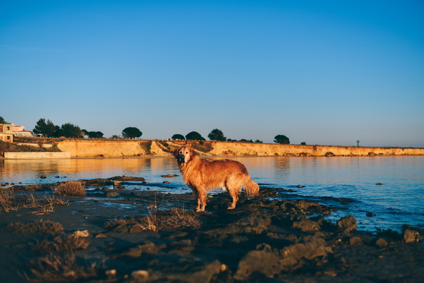 Večernji đir po Sabunikama i Kolovarama. Foto: Iva Perinčić