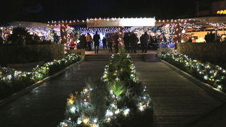 Virani 2016. godinu dočekali uz Lidiju Bačić, Leteći odred i spektakularan vatromet Virani 2016. godinu dočekali uz Lidiju Bačić, Leteći odred i spektakularan vatromet