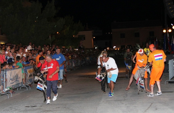 Tisno: Međunarodna trka tovarov 2013, Foto: Edin Kadić Tisno: Međunarodna trka tovarov 2013, Foto: Edin Kadić