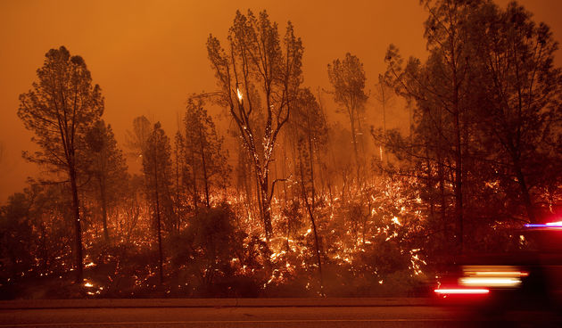 Požari se šire velikom brzinom na nekoliko dijelova Kalifornije