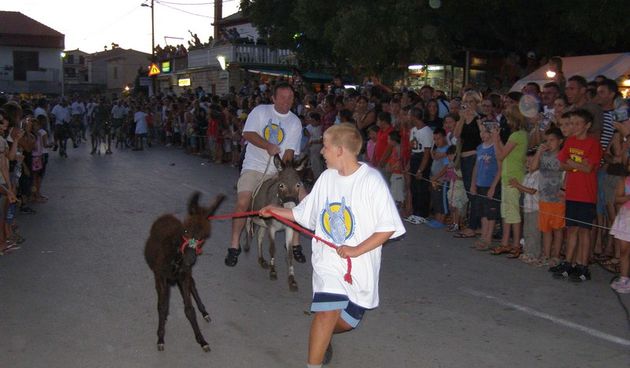 Trka magaraca Posedarje 2008., 9. kolovoza 2008.