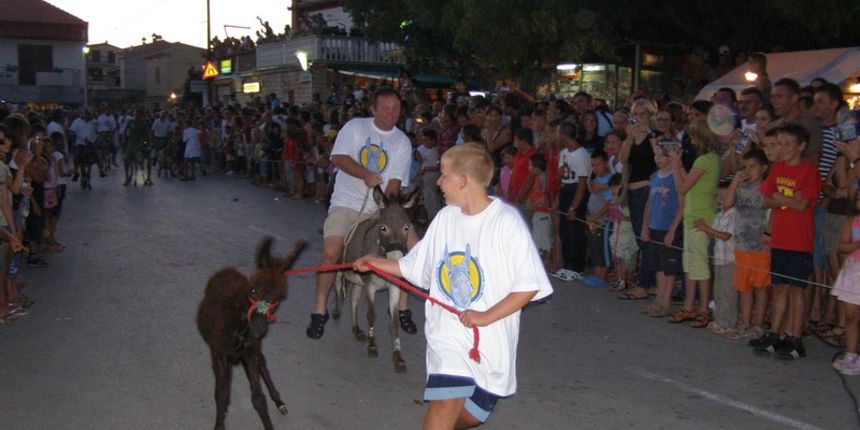 Trka magaraca Posedarje 2008., 9. kolovoza 2008.