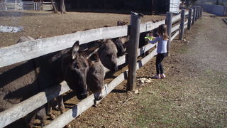 OLYMPUS DIGITAL CAMERA OLYMPUS DIGITAL CAMERA