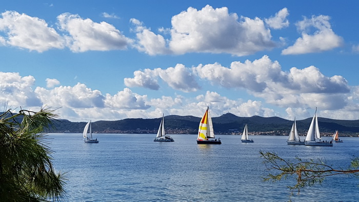 Zadarska Koka 2016. 22. listopada 2016. Foto: Mladen Malik Zadarska Koka 2016. 22. listopada 2016. Foto: Mladen Malik