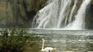 Jesenske boje i ljepote Nacionalnog parka Slapovi Krke oduševljavaju i dalje mnogobrojne turiste iz cijeloga svijeta. Photo: Hrvoje Jelavic/PIXSELL Jesenske boje i ljepote Nacionalnog parka Slapovi Krke oduševljavaju i dalje mnogobrojne turiste iz cijeloga svijeta. Photo: Hrvoje Jelavic/PIXSELL