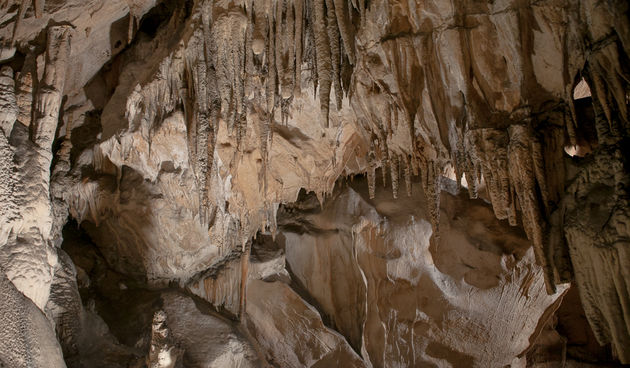 Izlet u Cerovačke špilje, foto: Darko Belančić