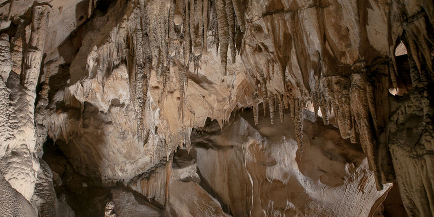 Izlet u Cerovačke špilje, foto: Darko Belančić Izlet u Cerovačke špilje, foto: Darko Belančić