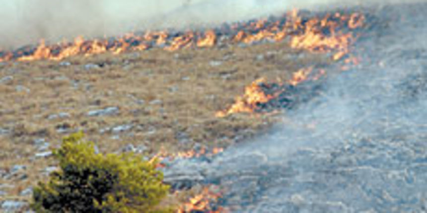 Kornat požar Kornat požar