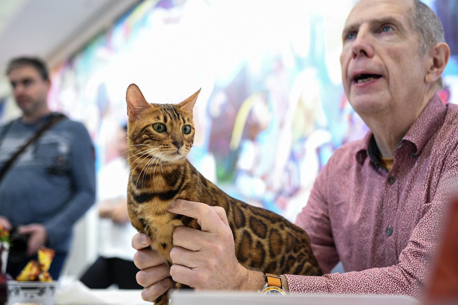 Međunarodna izložba mačaka