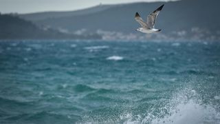 Olujno jugo u Zadru, 5. prosinca 2020.