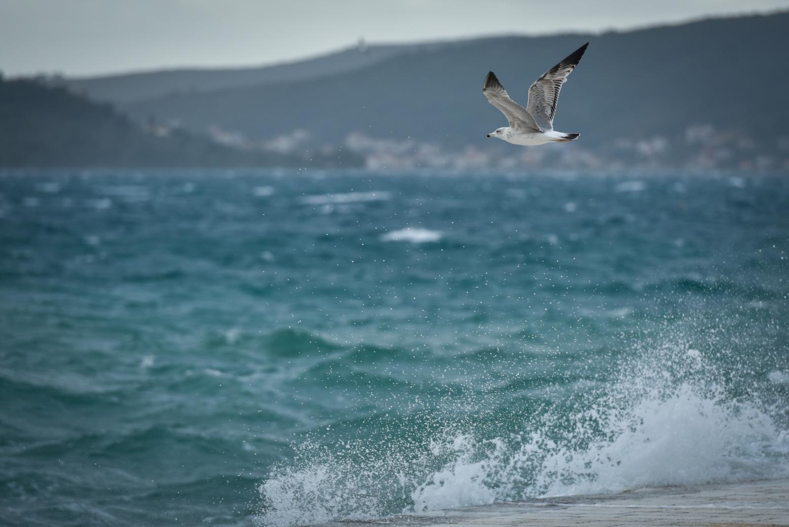 Olujno jugo u Zadru, 5. prosinca 2020.