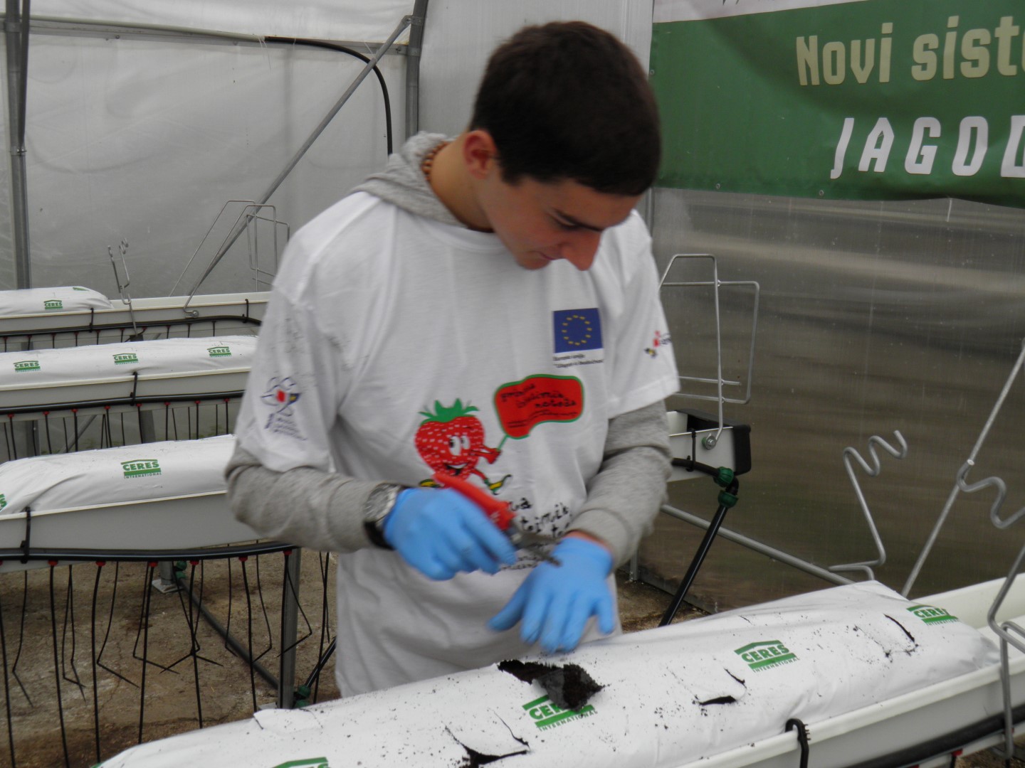 OLYMPUS DIGITAL CAMERA OLYMPUS DIGITAL CAMERA