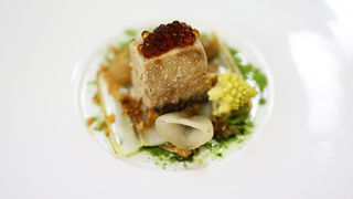 Kuharska radionica Davida Skoke u Falkensteiner Hotelu Adriana Kuharska radionica Davida Skoke u Falkensteiner Hotelu Adriana