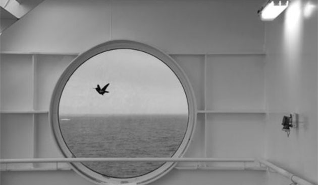 Multimedijalna zložba “Izgubljeno / Nađeno” u lapidariju Zavičajnog muzeja Poreštine