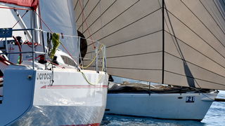 Sva lica “Zadarske koke” Sva lica “Zadarske koke”