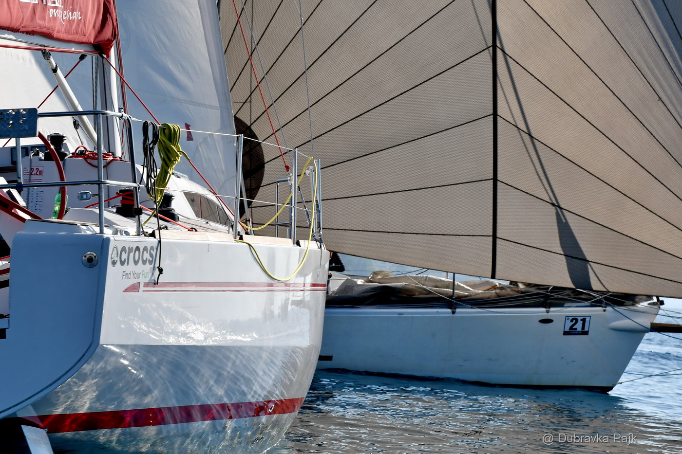 Sva lica “Zadarske koke” Sva lica “Zadarske koke”