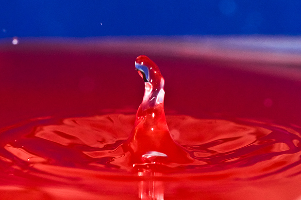 Čudesne kapi, foto: Leo Banić