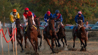 Polača: 14. Međunarodne konjičke utrke “Oluja 95”, Foto: Leo Banić Polača: 14. Međunarodne konjičke utrke “Oluja 95”, Foto: Leo Banić
