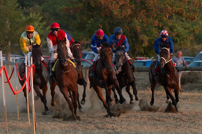Polača: 14. Međunarodne konjičke utrke “Oluja 95”, Foto: Leo Banić Polača: 14. Međunarodne konjičke utrke “Oluja 95”, Foto: Leo Banić