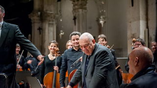 Stefan Milenković i Zadarski komorni orkestar u katedrali sv. Stošije