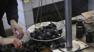 Đir po pešakariji 24. veljače 2012, Foto. Saša Čuka Đir po pešakariji 24. veljače 2012, Foto. Saša Čuka