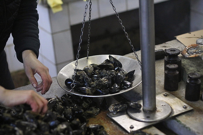 Đir po pešakariji 24. veljače 2012, Foto. Saša Čuka Đir po pešakariji 24. veljače 2012, Foto. Saša Čuka