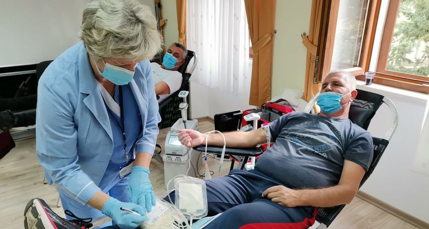 Darivanje krvi, Vrsi Darivanje krvi, Vrsi