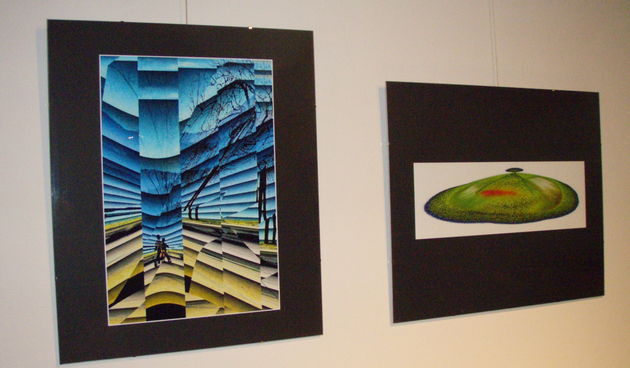 Izložba Boris Guina