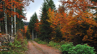 Sjeverni Velebit i Lika u jesen Sjeverni Velebit i Lika u jesen