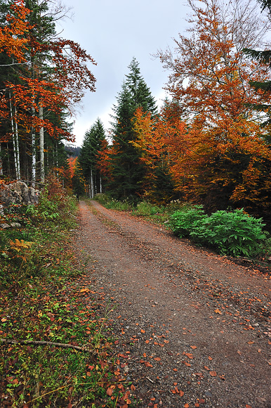 Sjeverni Velebit i Lika u jesen Sjeverni Velebit i Lika u jesen