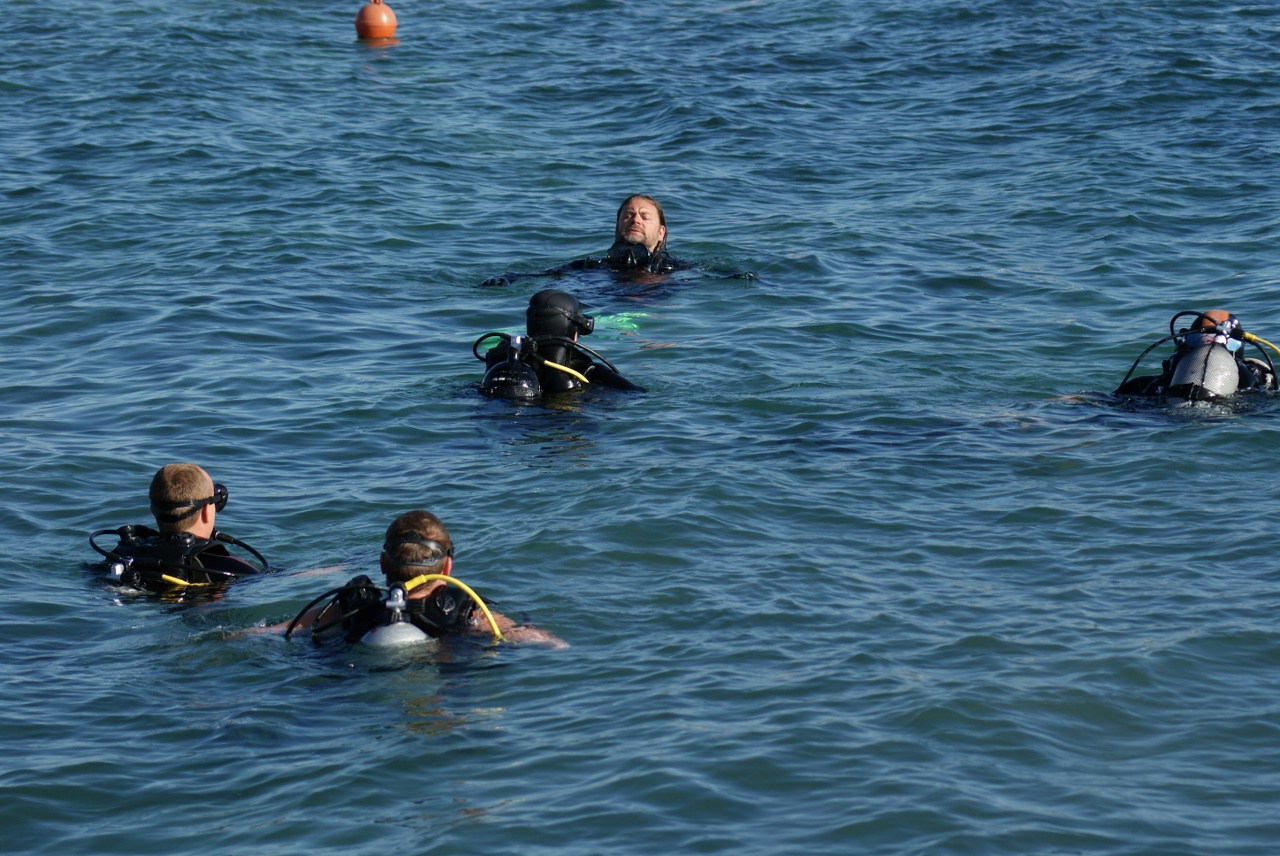 Eko Vir 2024.: Čišćenje podmorja u Radovanjici, Miljkovici i Prezidi Eko Vir 2024.: Čišćenje podmorja u Radovanjici, Miljkovici i Prezidi