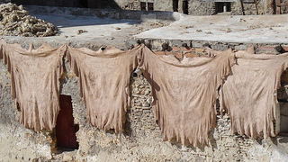 Skitnja Pere Šindije ulicama Maroka Skitnja Pere Šindije ulicama Maroka