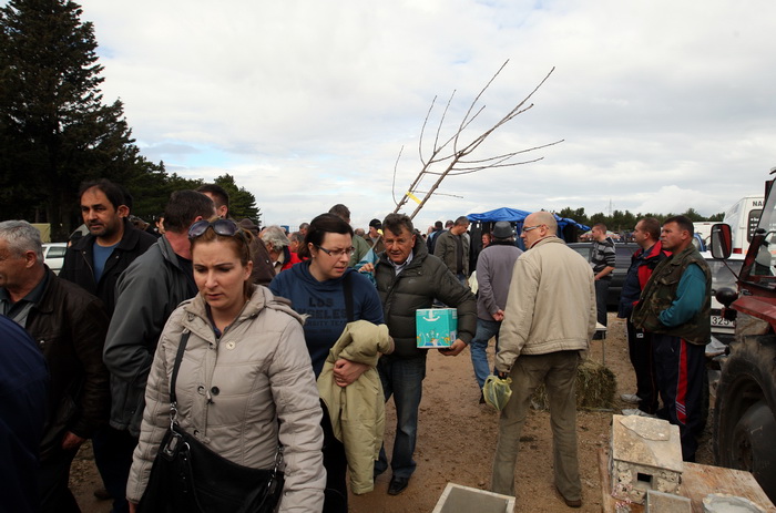Benkovac, 100313.
Sajam u Benkovcu odrzava se svakog 10. dana u mjesecu. Stoljetna tradicija ucinila je od Benkovackog sajma neizostavni gospodarski i turisticki sadrzaj grada koji svaki put iznova iznenadjuje brojem posjetitelja koji preraste brojku od 1 Benkovac, 100313.
Sajam u Benkovcu odrzava se svakog 10. dana u mjesecu. Stoljetna tradicija ucinila je od Benkovackog sajma neizostavni gospodarski i turisticki sadrzaj grada koji svaki put iznova iznenadjuje brojem posjetitelja koji preraste brojku od 1