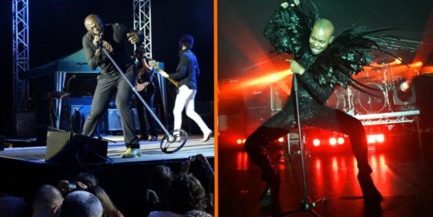 Seal i Skunk, Foto: Goran Šebelić, Tomislav Kristo/Cropix Seal i Skunk, Foto: Goran Šebelić, Tomislav Kristo/Cropix