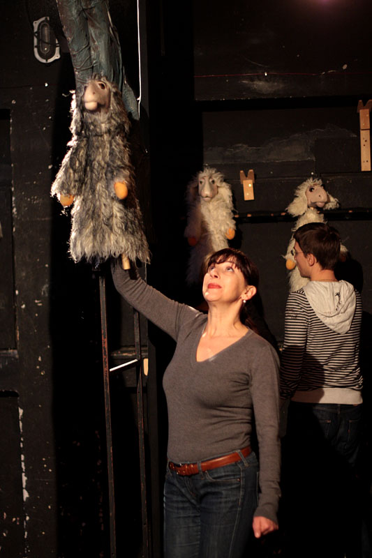 Betlehemska ovčica Betlehemska ovčica