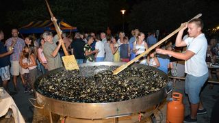 04.08.2015., Privlaka – Dalmatinska festa na domaci nacin prikazana je i u Privlaci pokraj Zadra na Privlackoj noci kada su mnogobrojni turisti i posjetitelji mogli gustati u morskim delicijama, poput dagnji, srdela, fritula i slicnog. Photo: Damir Spehar