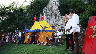 Zvonimirovi dani, Knin 28. i 29. lipnja 2008.