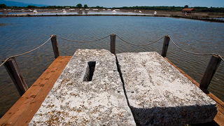 Solana Nin, berba soli, foto: Leo Banić