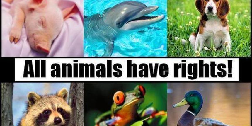 Dan zaštite životinja – najviše ih ugrožavaju ljudi, životinje, foto: atma.hr Dan zaštite životinja – najviše ih ugrožavaju ljudi, životinje, foto: atma.hr