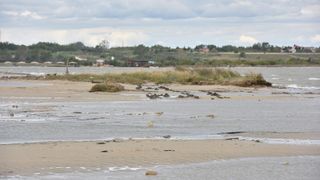 Čuvena ninska plaža Ždrijac teško stradala u poplavi