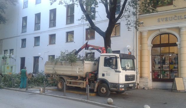 Akcija mladih: Zar se zbog turista pilaju stabla?