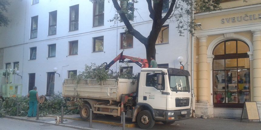 Akcija mladih: Zar se zbog turista pilaju stabla? Akcija mladih: Zar se zbog turista pilaju stabla?