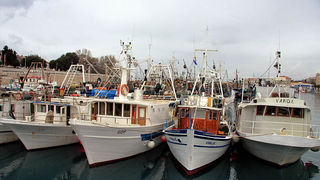 Potpora zadarskih ribara hrvatskoj Vladi za proglasenje ZERP-a