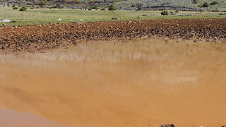 Izlet u Libinje 6. travnja 2011, Foto: Leo Banic